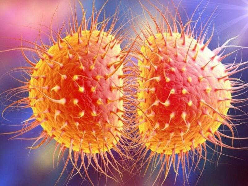 Vi khuẩn Neisseria Gonorrhoeae gây ra bệnh lậu