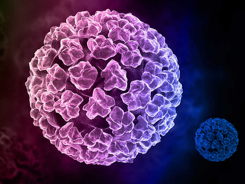 Virus HPV tác nhân chính gây ra bệnh sùi mào gà cho nữ giới.