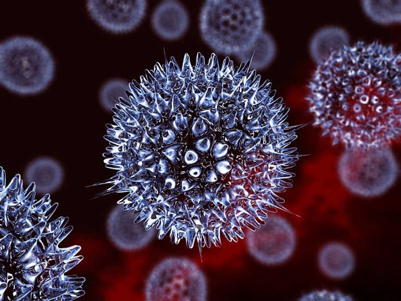 Virus HSV gây mụn rộp sinh dục 
