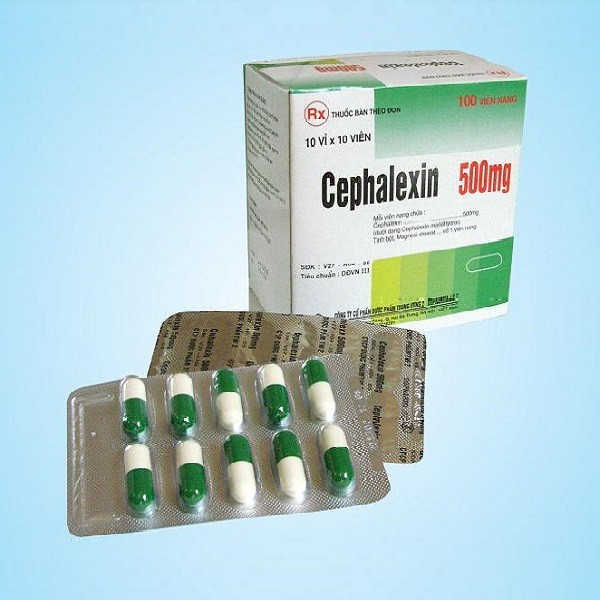 Thuốc chữa viêm bàng quang – Thuốc Cephalexin (Cefatam)