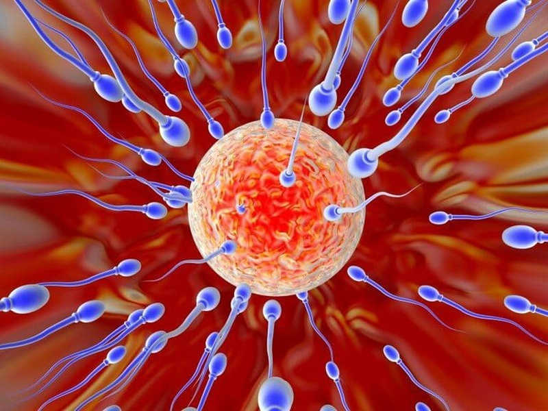 Thời gian tinh trùng sống trong tử cung là bao lâu?