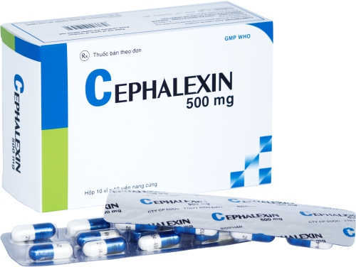 Thuốc Cephalexin 500 mg