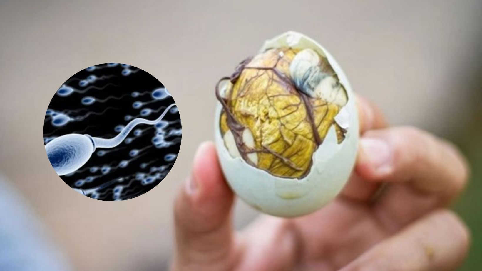 Ăn trứng vịt lộn có tốt cho tinh trùng không