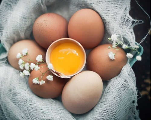 Chọn quả trứng gà sống mới