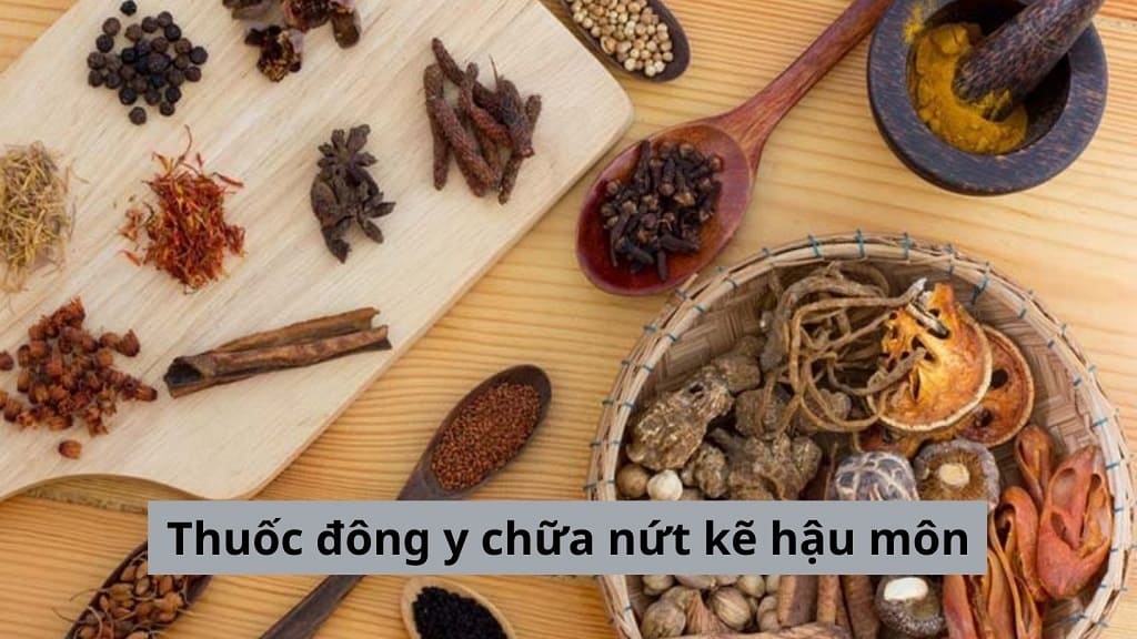 Thuốc đông y chữa nứt kẽ hậu môn