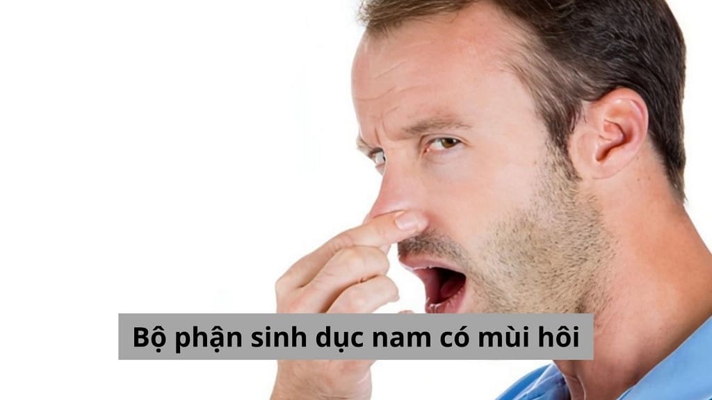 Bộ phận sinh dục nam có mùi hôi