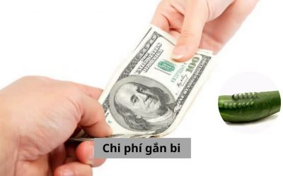 Chi phí gắn bi dương vật hết bao nhiêu tiền? Xem bảng giá mới cập nhật