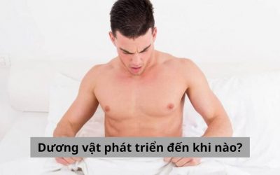 Bạn có biết: Dương vật phát triển đến khi nào là bình thường?