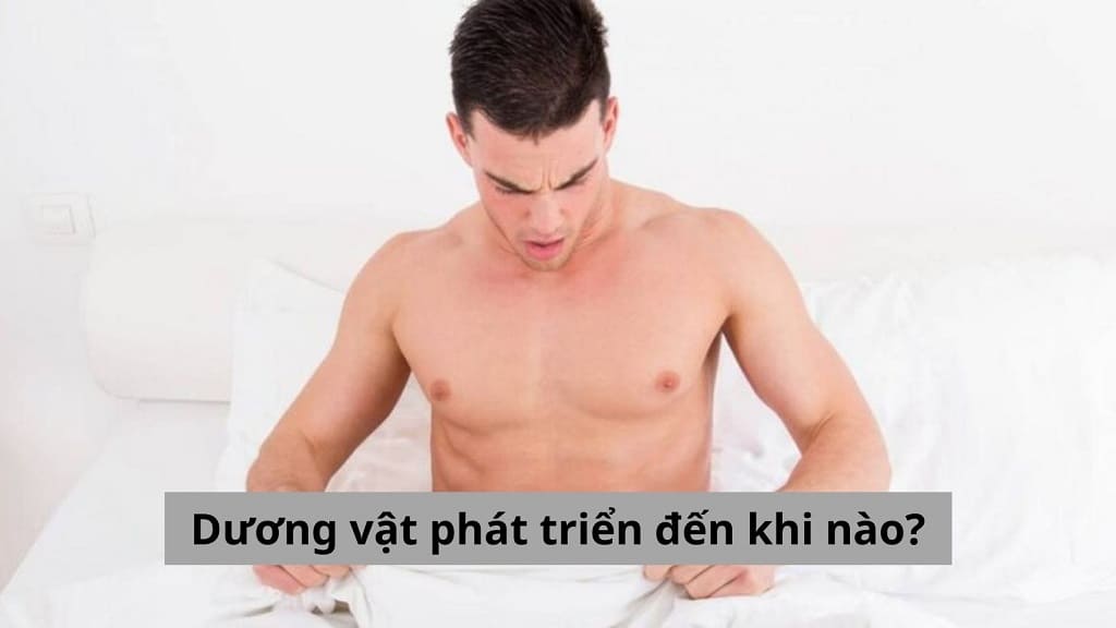 Dương vật phát triển đến khi nào