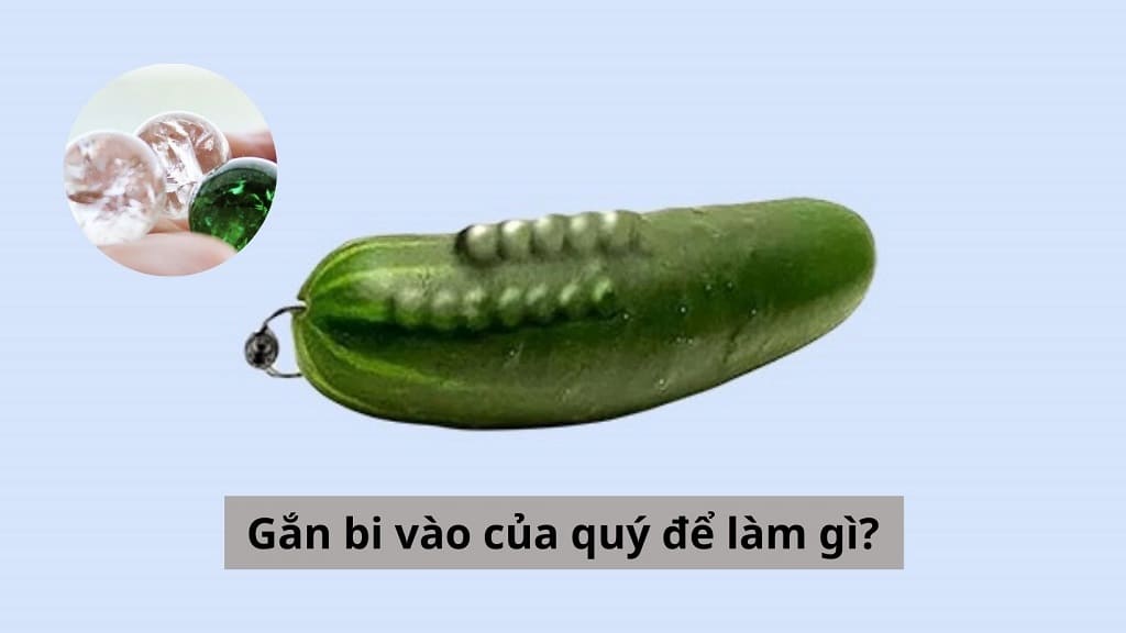 Gắn bi vào của quý để làm gì