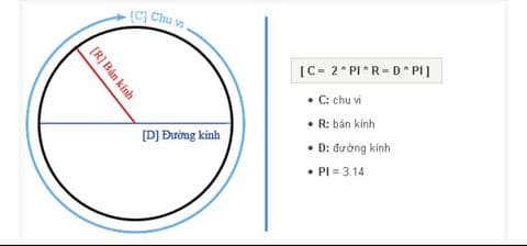 Đo đường kính “ cậu nhỏ”