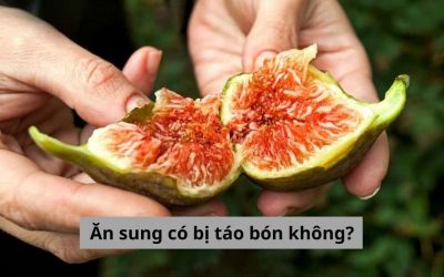 [Góc thắc mắc] Ăn sung có bị táo bón không? Sử dụng như thế nào hiệu quả?