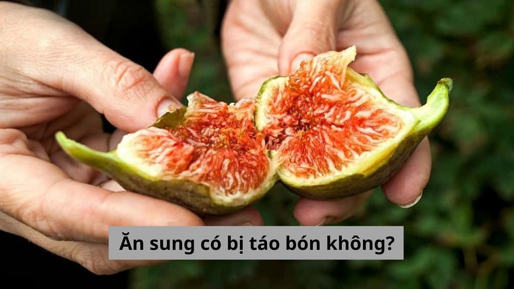 Ăn sung có bị táo bón không