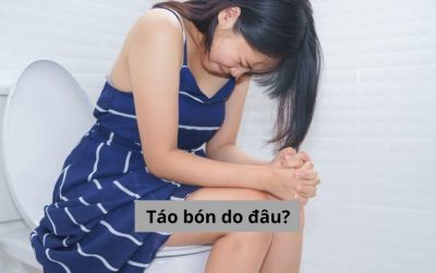 Bạn có biết: Táo bón do đâu, làm sao để khắc phục?