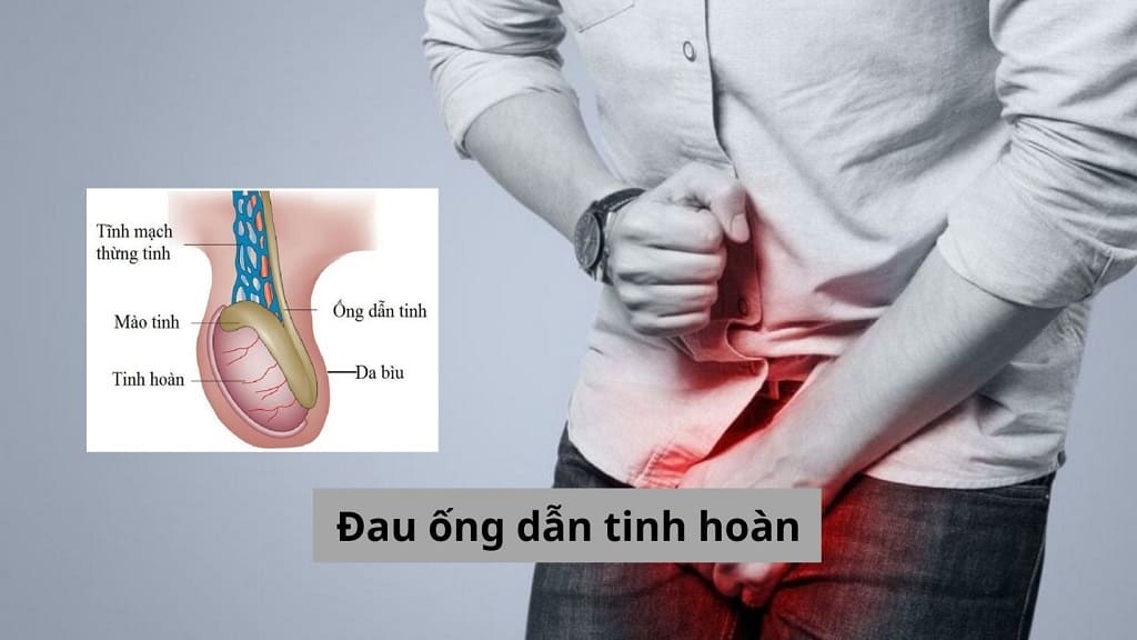 Đau ống dẫn tinh hoàn