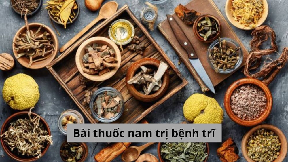 Bài thuốc nam trị bệnh trĩ