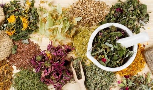 Áp dụng bài thuốc nam trị bệnh trĩ có hiệu quả không?