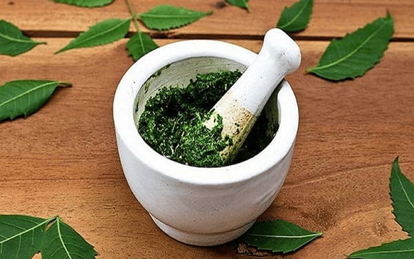 Đắp cây lá bỏng