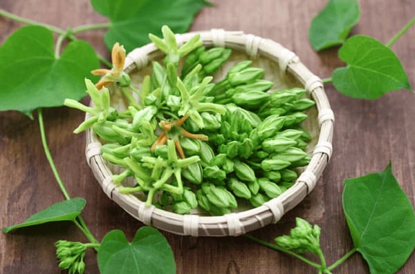 Lá thiên lý mang lại hiệu quả như thế nào khi chữa trĩ? 