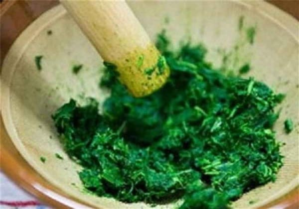 Các cách chữa bệnh trĩ bằng lá thiên lý - Đắp lá thiên lý