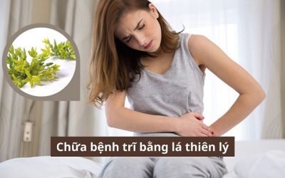 Cách chữa bệnh trĩ bằng lá thiên lý rất hiệu quả, bạn đã biết chưa? 