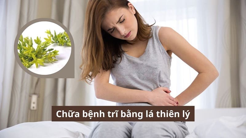 Chữa bệnh trĩ bằng lá thiên lý