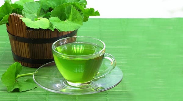 Uống trà rau má