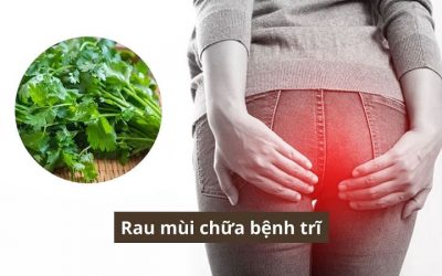 Tìm hiểu thực hư thông tin rau mùi chữa bệnh trĩ – liệu có hiệu quả không?