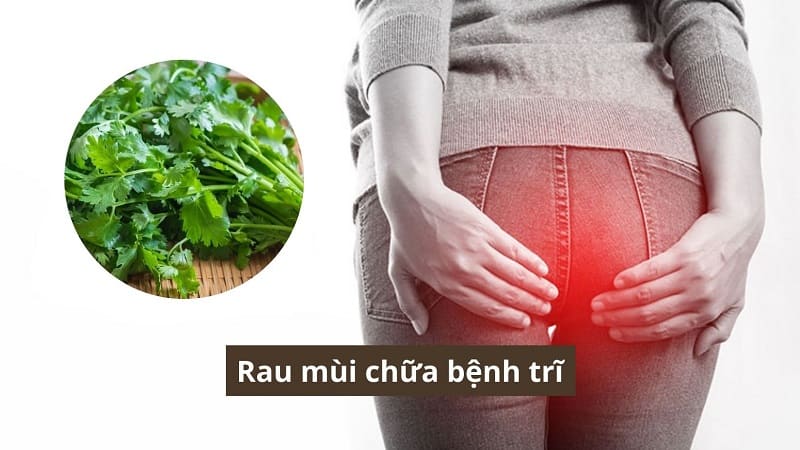 Rau mùi chữa bệnh trĩ